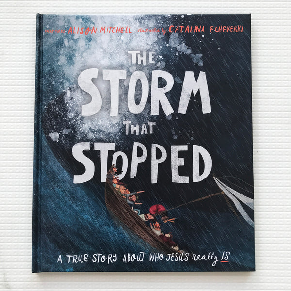 The Storm that Stopped: A true story about who Jesus really is